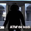 ATM’de kedi fare oyunu