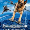 Kediler ve Köpekler: Kitty Galore’un İntikamı