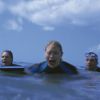 film_reef