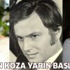 Altın Koza yarın başlıyor