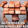 Altın Koza'da kısaların sonuçları açıklandı