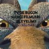 Tv'de bugün hangi filmleri izleyelim?