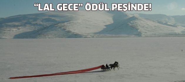 "Lal Gece" Brüksel'de ödül için yarışıyor