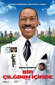 Bir Çılgının İçinde