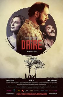 Daire