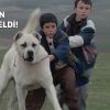 Venedik'ten, Türk Filmine bir ödül daha!