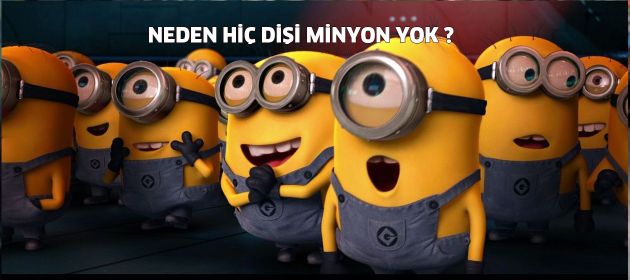 Neden Hiç Dişi Minyon Yok?