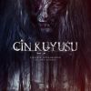 Cin Kuyusu