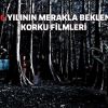 2016 yılının merakla beklenen Korku Filmleri