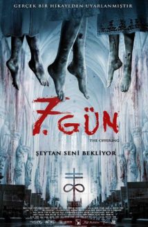 7. Gün