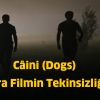 Câini (Dogs) - Kara Filmin Tekinsizliği