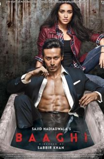Baaghi: Asi ve Aşık