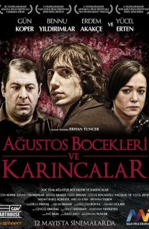 Ağustos Böcekleri ve Karıncalar