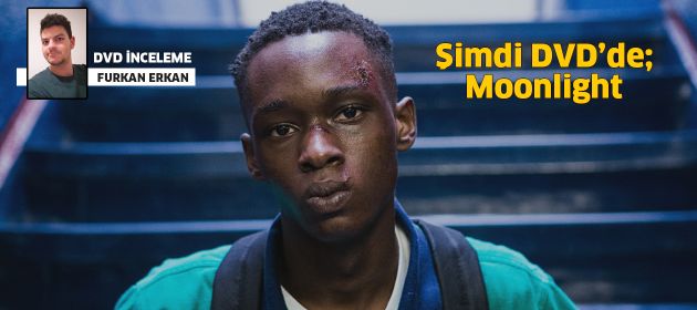 ŞİMDİ DVD’DE: MOONLIGHT