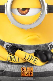 Çılgın Hırsız 3