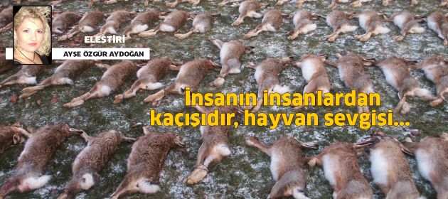 İz
