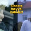 Şiddete meyyal babalar!
