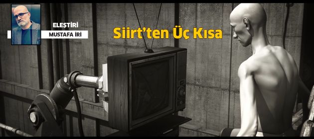Siirt'ten üç kısa...