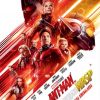Ant-Man ve Wasp