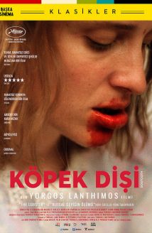 Köpek Dişi