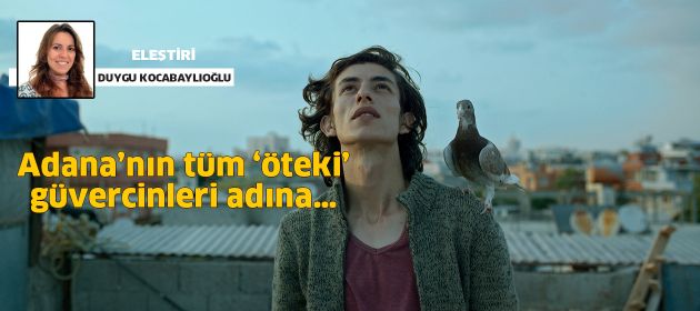 Güvercin
