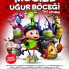 Mucize Uğur Böceği