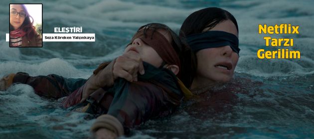 Bird Box