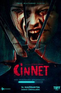 Cinnet
