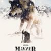 Mavzer