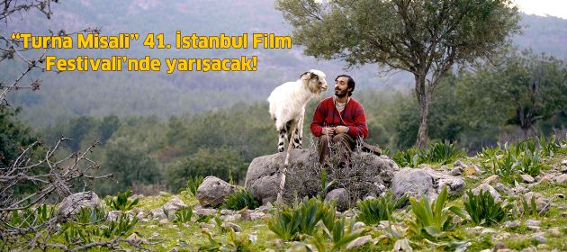 Turna Misali filmi 41. İstanbul Film Festivali’nde yarışacak!