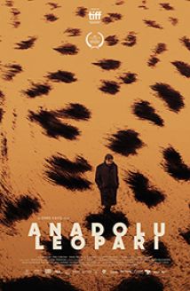 Anadolu Leoparı