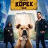 Dikkat Köpek Var