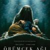 Örümcek Ağı