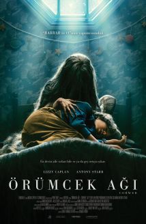 Örümcek Ağı