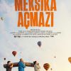 Meksika Açmazı