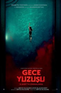 Gece Yüzüşü