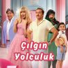 Çılgın Yolculuk