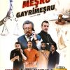 Meşru Gayrimeşru