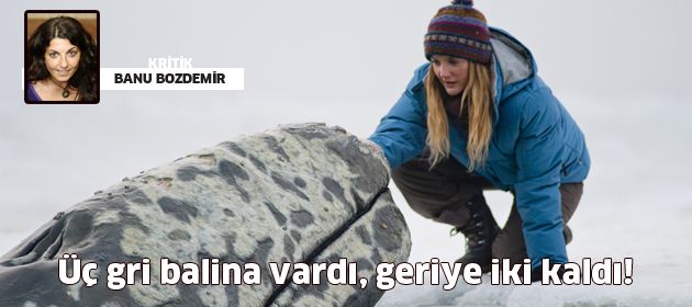 Üç gri balina vardı, geriye iki kaldı!