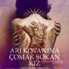 Arı Kovanına Çomak Sokan Kız: Millennium Üçlemesi III