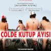 Çölde Kutup Ayısı