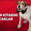 Uggie'nin kitabı basılacak