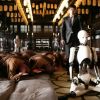 doomsday book-header